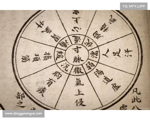 天齐藏机图:探索古代天文与命理奥秘的智慧结晶 天齐藏机图:探索古代天文与命理奥秘的智慧结晶